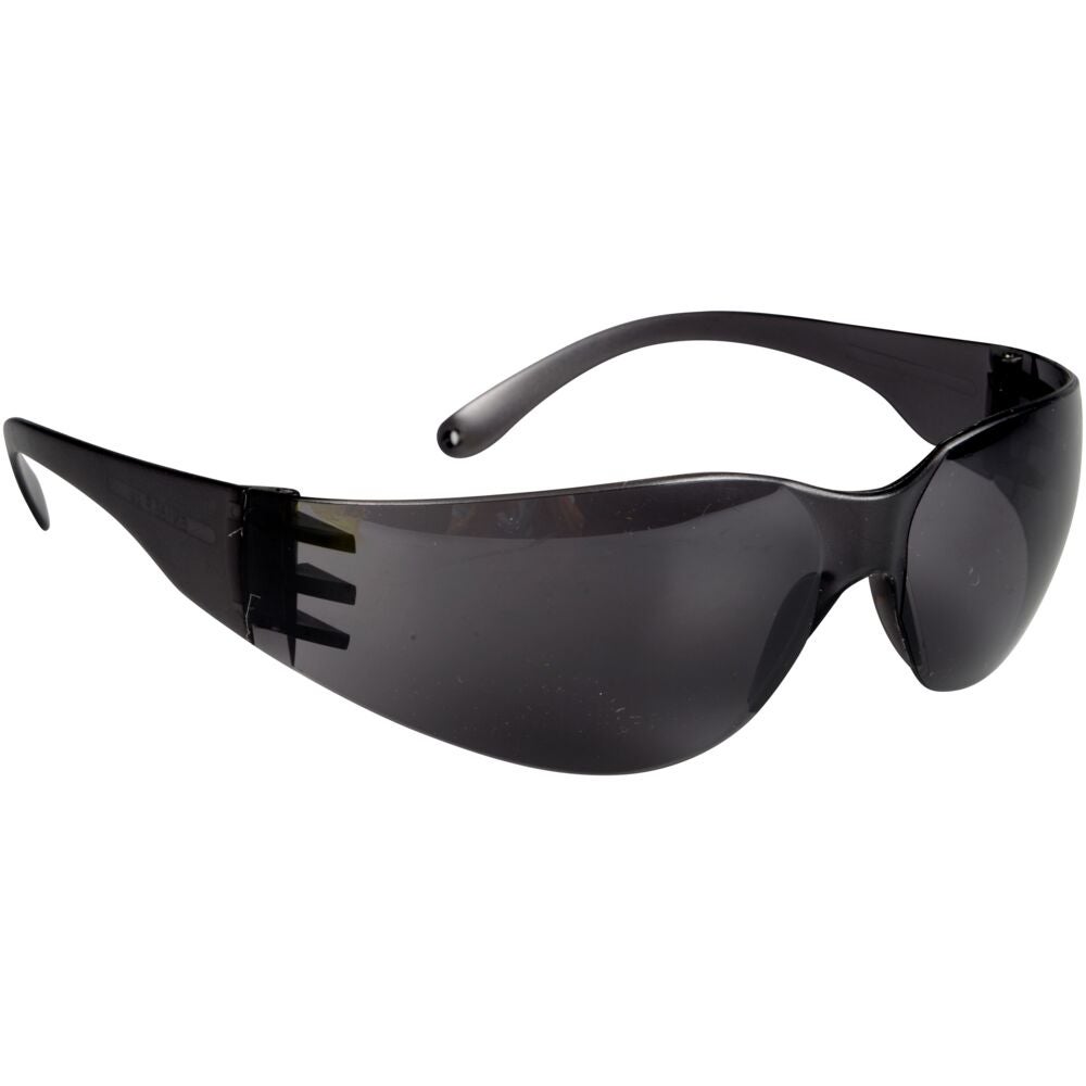Skyddsglasögon InSafe INS015 Mörk lins