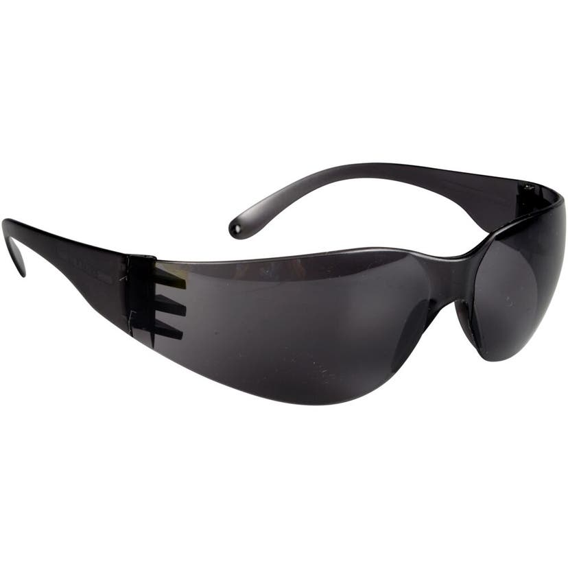 Skyddsglasögon InSafe INS015 Mörk lins